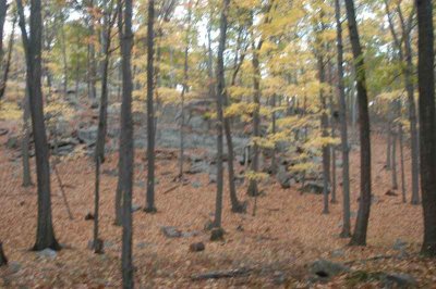 ir-20071101_0049.jpg