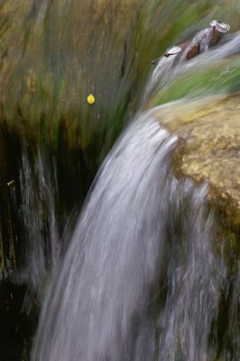 Berry Creek Falls