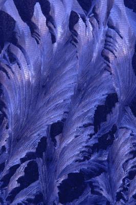 g3/83/606383/3/52605876.bm_1195121_bluefrostfeathers.jpg