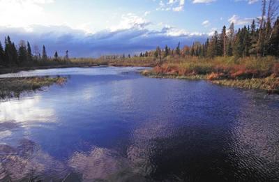 g3/83/606383/3/56982144.bm_500328_nbranch_whitefaceriver_stlouisco.jpg