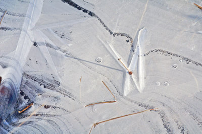 Ice with Reeds 