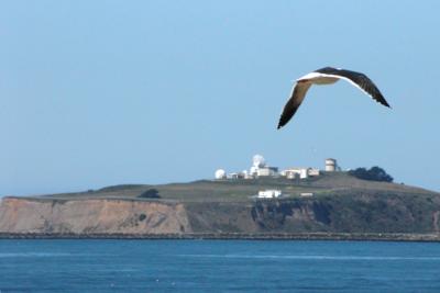 A Western Gull accentuates this view looking north across the bay