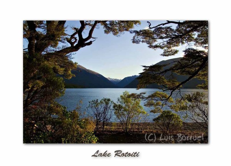 Lago Rotoiti4.jpg