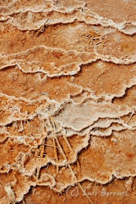 abstracto2.jpg