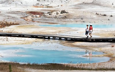 Norris_geysir4.jpg