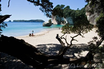 Hahei Cathedral cove.jpg