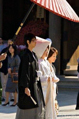 Meiji Jingu boda.jpg