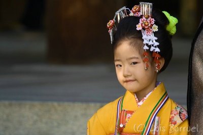 Meiji Jingu nina.jpg