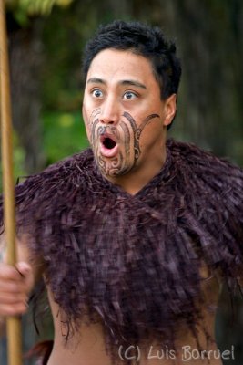 maori2.jpg
