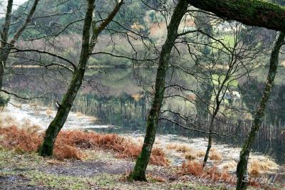 g3/83/618983/3/54142626.glendalough_1lago2.jpg