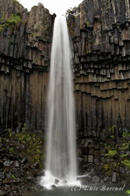 Svartifoss