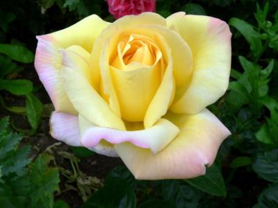 g3/83/628283/3/54560793.peace2.jpg