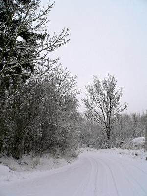 Vgen utanfr vrt hus