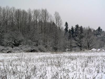 g3/83/628283/3/55437702.1januari020_redigerad.jpg