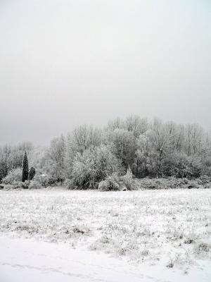 g3/83/628283/3/55437712.5jan028_redigerad.jpg