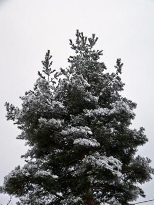 g3/83/628283/3/55438040.6jan060_redigerad.jpg