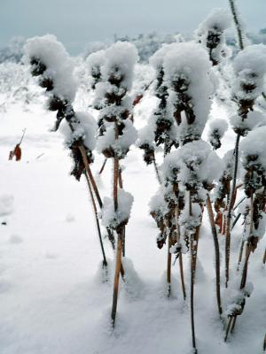 g3/83/628283/3/55438041.6jan026_redigerad.jpg