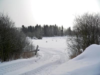 g3/83/628283/3/56750918.3mars031_redigerad.jpg