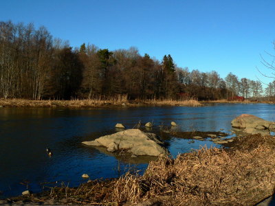 g3/83/628283/3/94806772.q01LTyiG.jpg