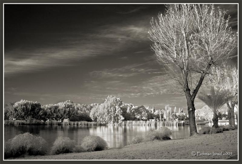 The lake.