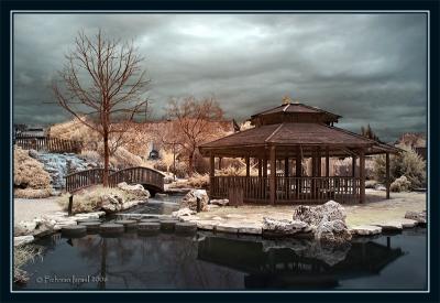 The Japanese garden II.