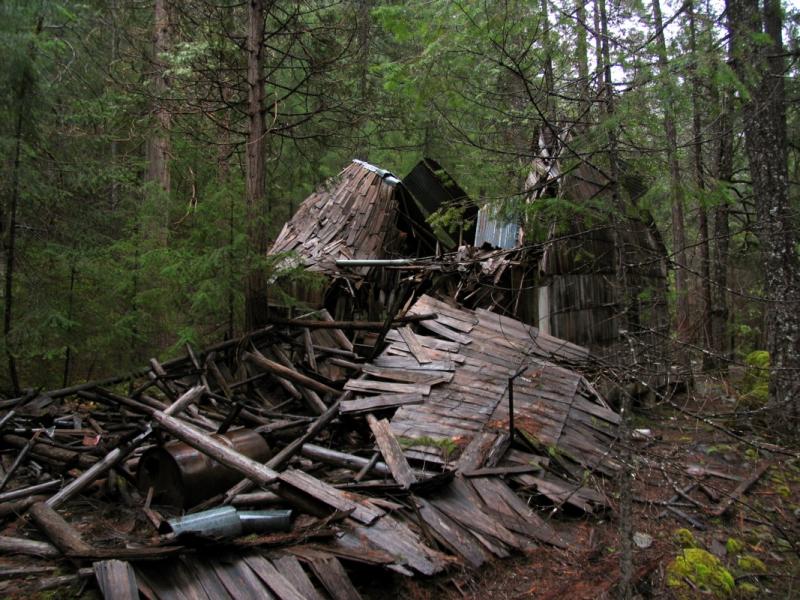 Nature reclaims what is hers. The Cedars cabins collapsed.