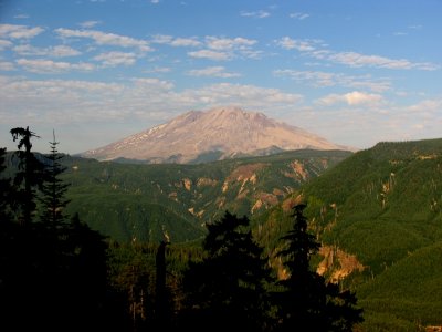 Mt St Helens from my drive by