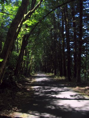 Old Columbia Gorge highway, now a bike route