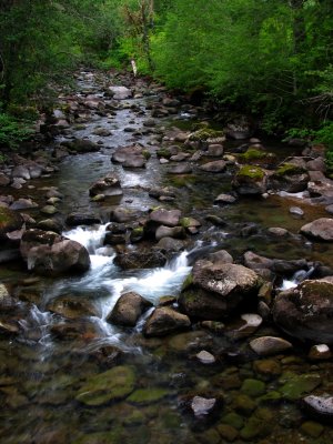 Trout Creek