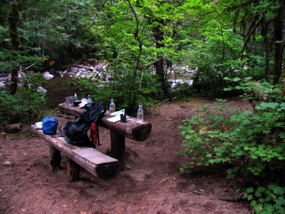 My campsite along Trout Creek -  great bench!