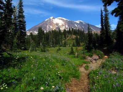 Mt Adams from Horseshoe Meadow