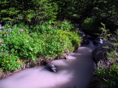 Glacial melt colors a stream off Mt Adams