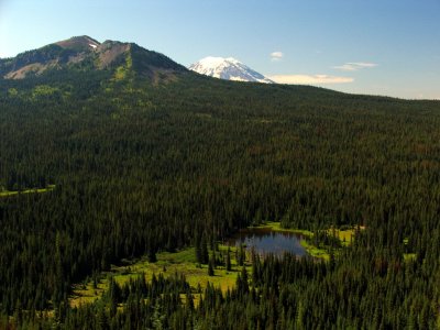 Mt Adams, meadow and lake