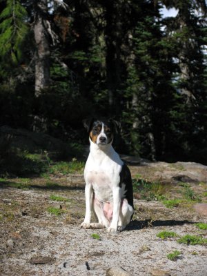 Kelly enjoys a rare moment of sunshine in camp