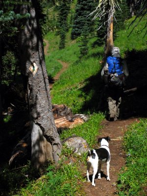 Gadget, Kelly and the PCT