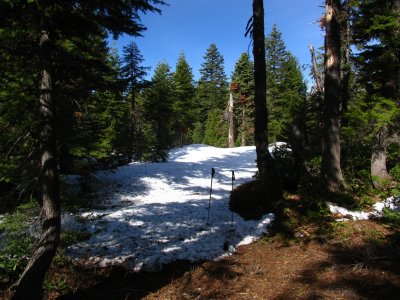 Another snow field along PCT