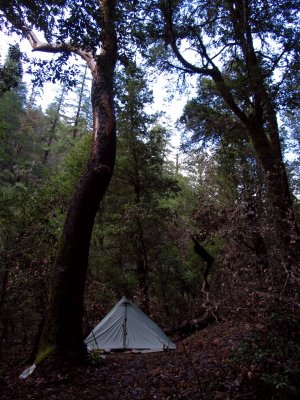 My tiny campsite at the end of the Dillon Creek trail