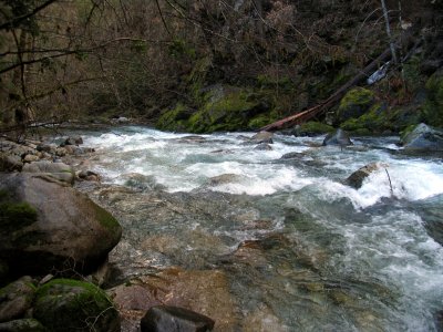 North Fork of Dillon Creek winter runoff