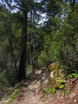 Kelsey Trail along Kelsey creek