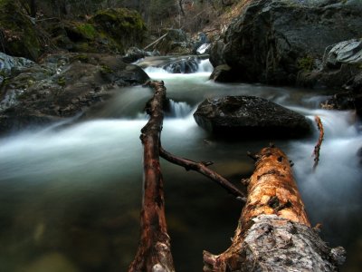 Kelsey Creek flows