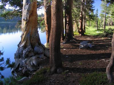 Sunrise along the shore of Sally Keyes Lake