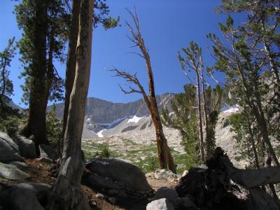 Muir Trail on north side of Mather Pass