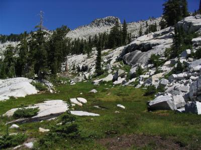 A meadow few ever see in the Trinity Alps