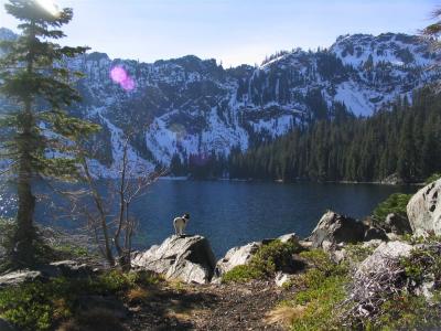 Cliff Lake and Pika