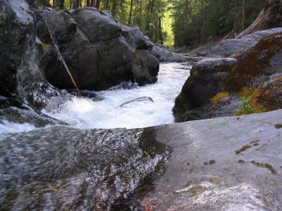Right Hand Fork of the Salmon river, along the old PCT