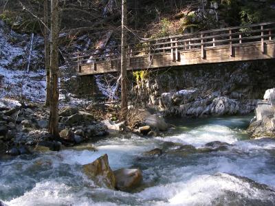 Grider Creek Pacific Crest Trail Bridge
