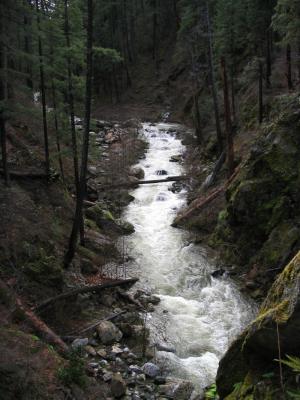 Grider Creek view