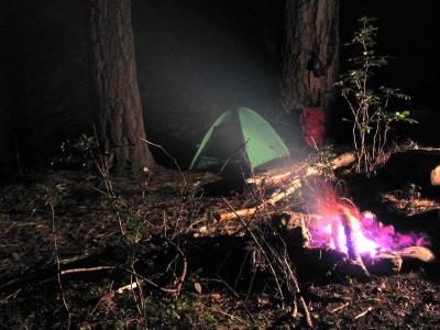 Campfire light show