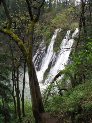 Burney Falls from the trail
