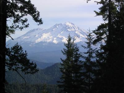 Mt Shasta from Girard Ridge, Section O